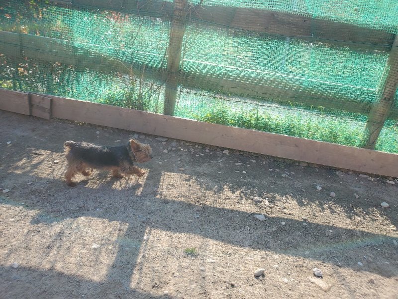 f：id：roukenhome-ann：20200406185640j：plain