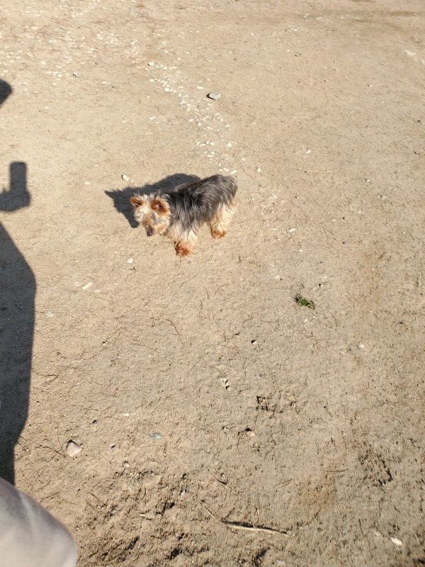 f：id：roukenhome-ann：20200406185646j：plain