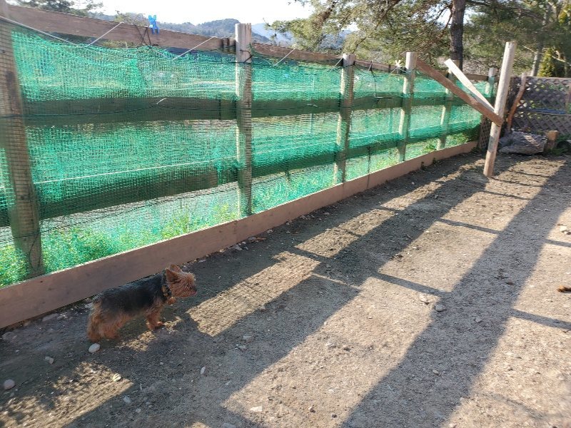 f：id：roukenhome-ann：20200406185655j：plain