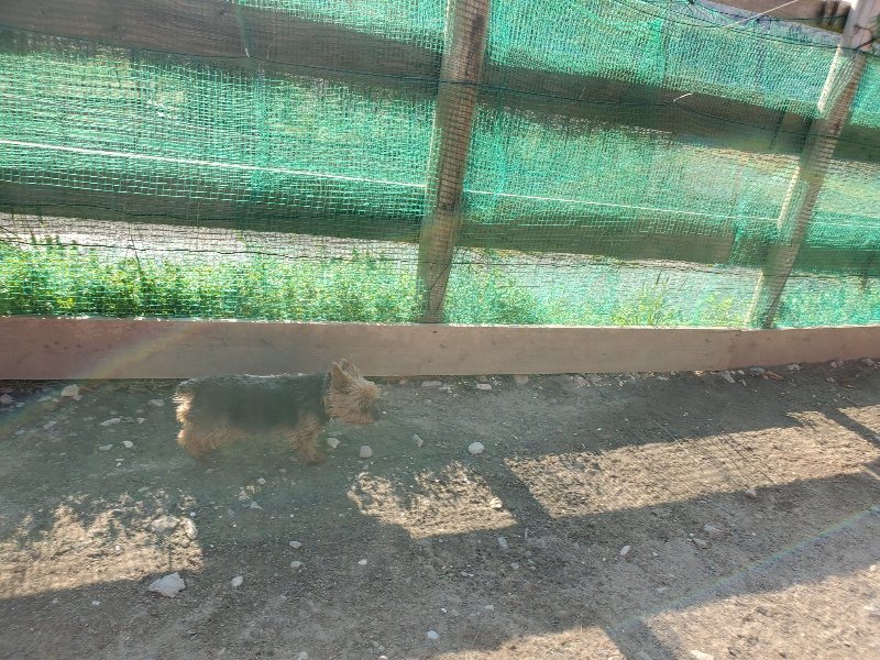 f：id：roukenhome-ann：20200406185703j：plain