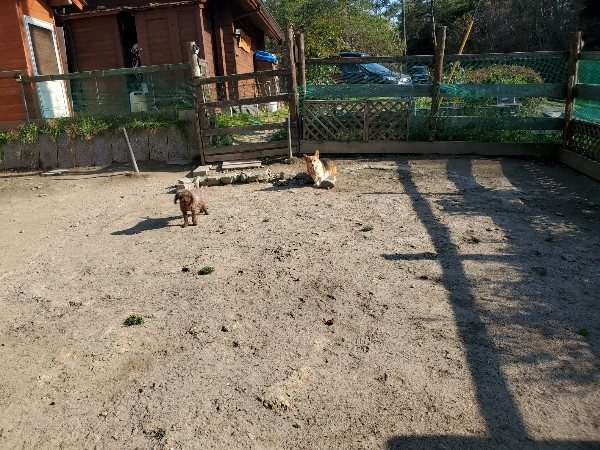 f：id：roukenhome-ann：20200406185711j：plain