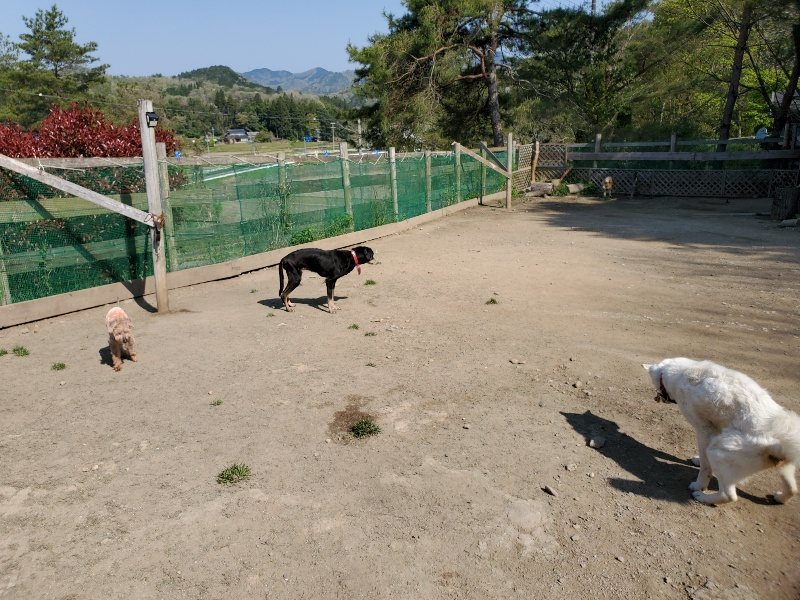 f：id：roukenhome-ann：20200501053610j：plain