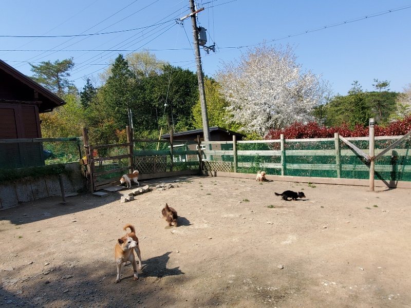 f：id：roukenhome-ann：20200501053936j：plain