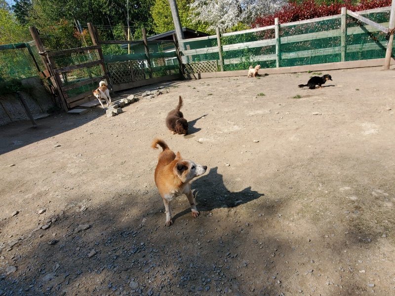 f：id：roukenhome-ann：20200501053942j：plain