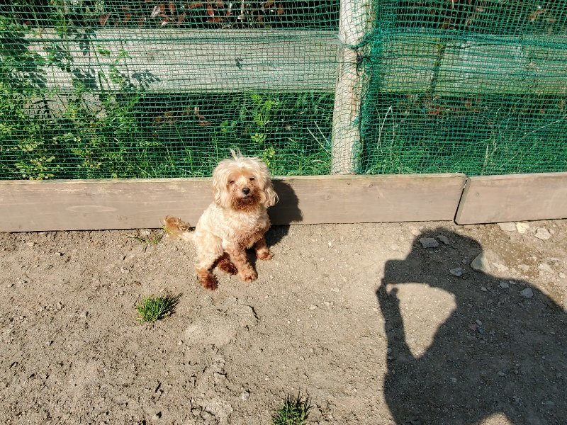 f：id：roukenhome-ann：20200501054117j：plain