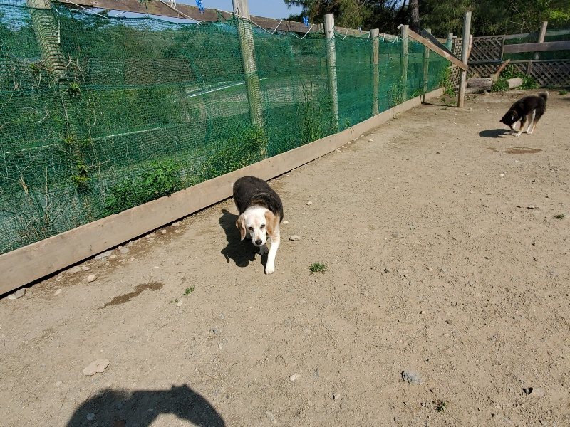 f：id：roukenhome-ann：20200501054205j：plain