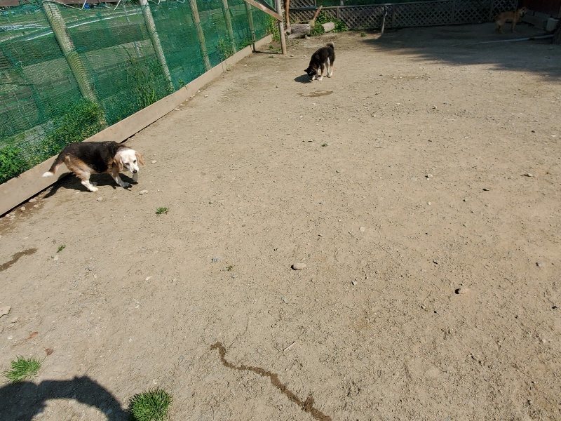 f：id：roukenhome-ann：20200501054210j：plain