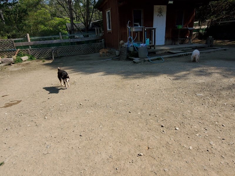 f：id：roukenhome-ann：20200501054227j：plain