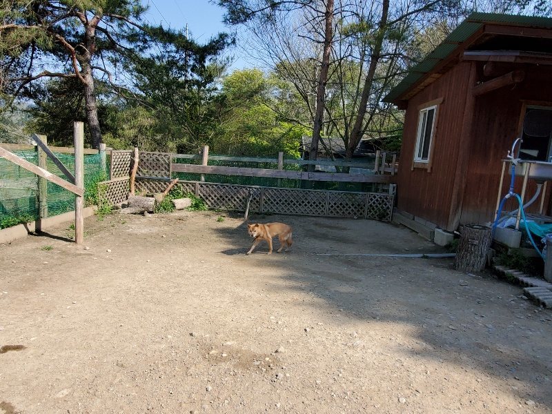 f：id：roukenhome-ann：20200501054254j：plain