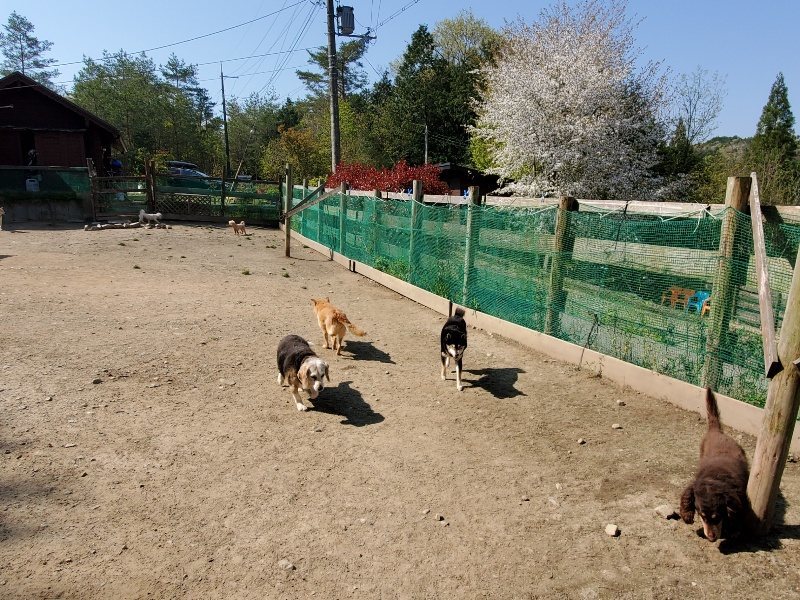 f：id：roukenhome-ann：20200501054402j：plain
