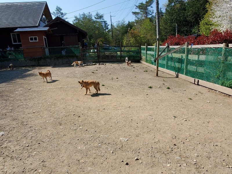 f：id：roukenhome-ann：20200501054418j：plain