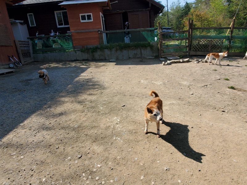 f：id：roukenhome-ann：20200501054434j：plain