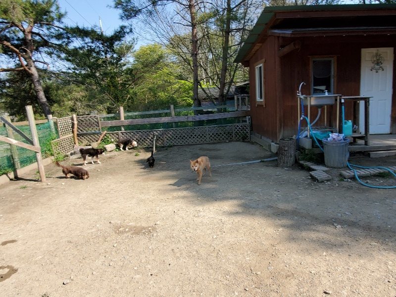 f：id：roukenhome-ann：20200501054518j：plain