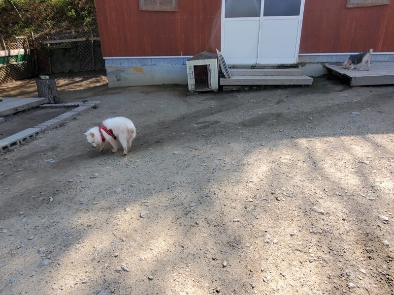 f：id：roukenhome-ann：20200501054524j：plain