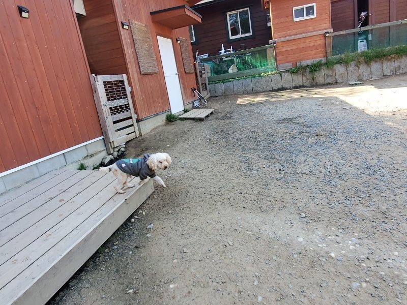 f：id：roukenhome-ann：20200501054554j：plain