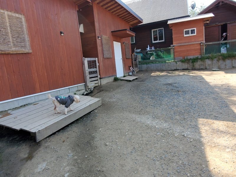 f：id：roukenhome-ann：20200501054559j：plain