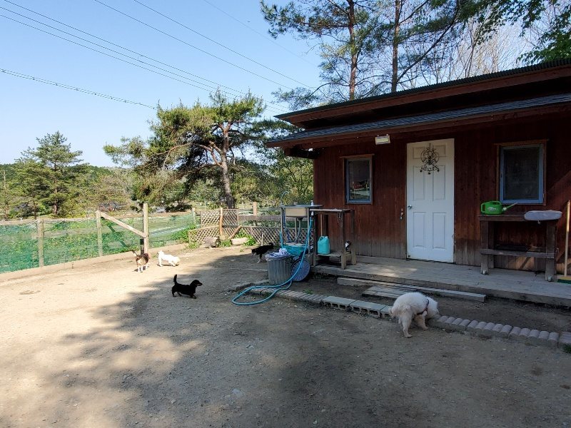 f：id：roukenhome-ann：20200501054604j：plain