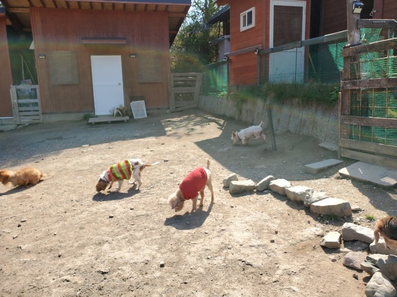 f：id：roukenhome-ann：20200501054801j：plain