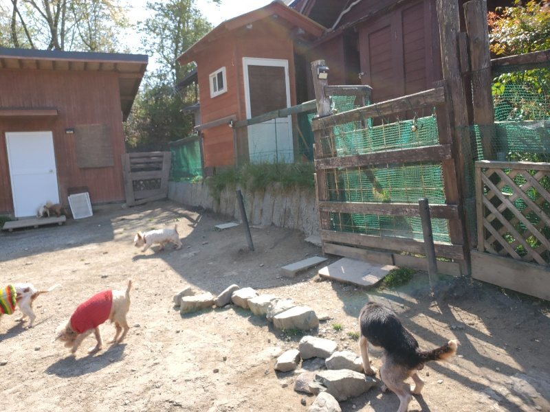 f：id：roukenhome-ann：20200501054806j：plain