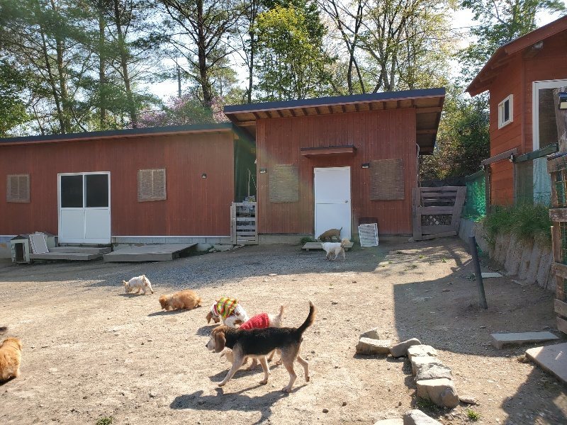 f：id：roukenhome-ann：20200501054832j：plain