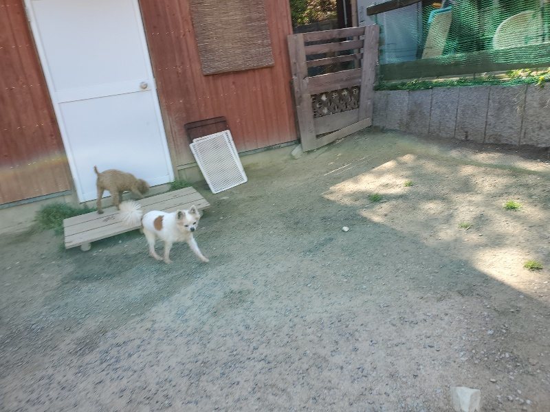 f：id：roukenhome-ann：20200501054920j：plain