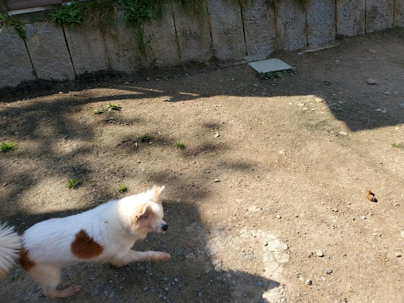 f：id：roukenhome-ann：20200501054925j：plain