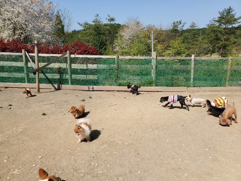 f：id：roukenhome-ann：20200501055228j：plain