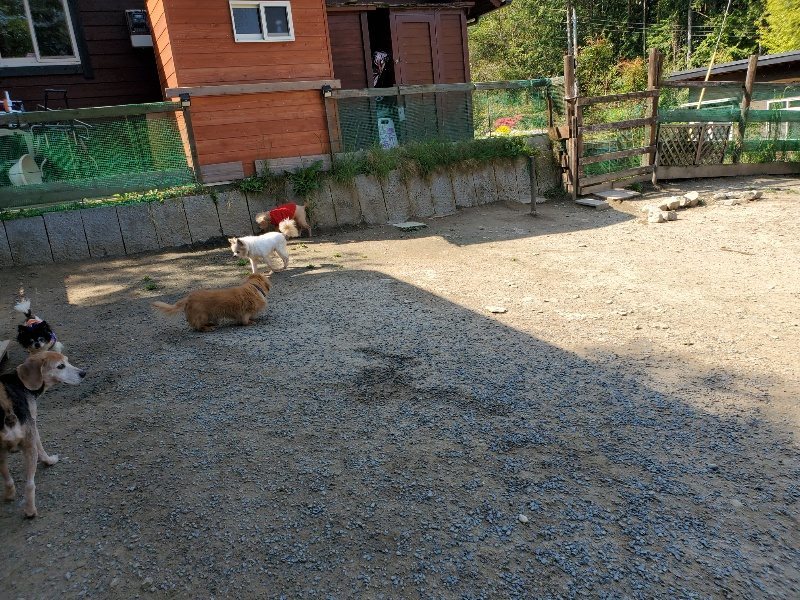 f：id：roukenhome-ann：20200501055258j：plain