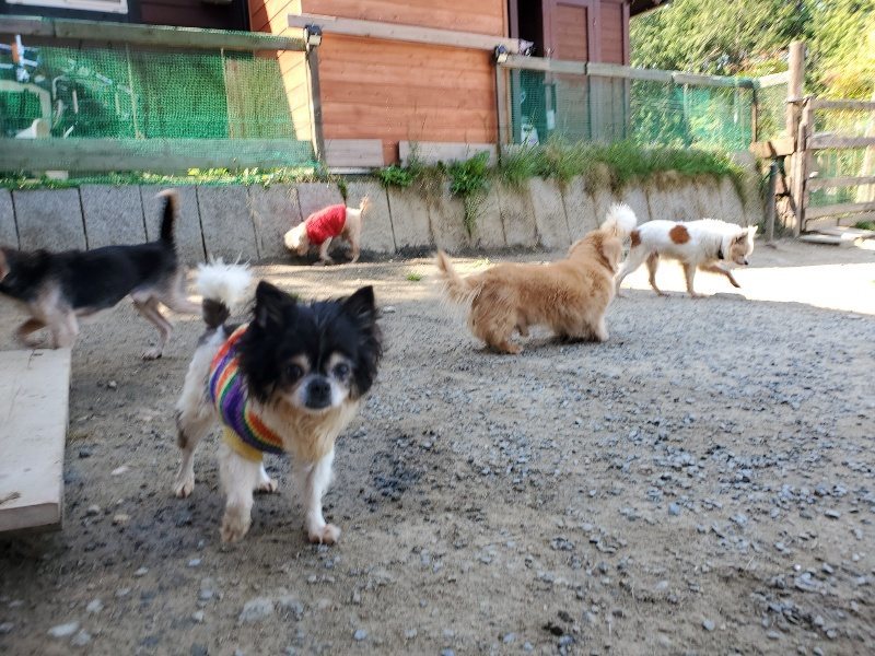 f：id：roukenhome-ann：20200501055321j：plain