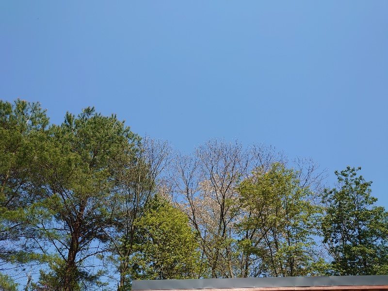 f:id:roukenhome-ann:20200501074509j:plain f:id:roukenhome-ann:20200501074509j:plain