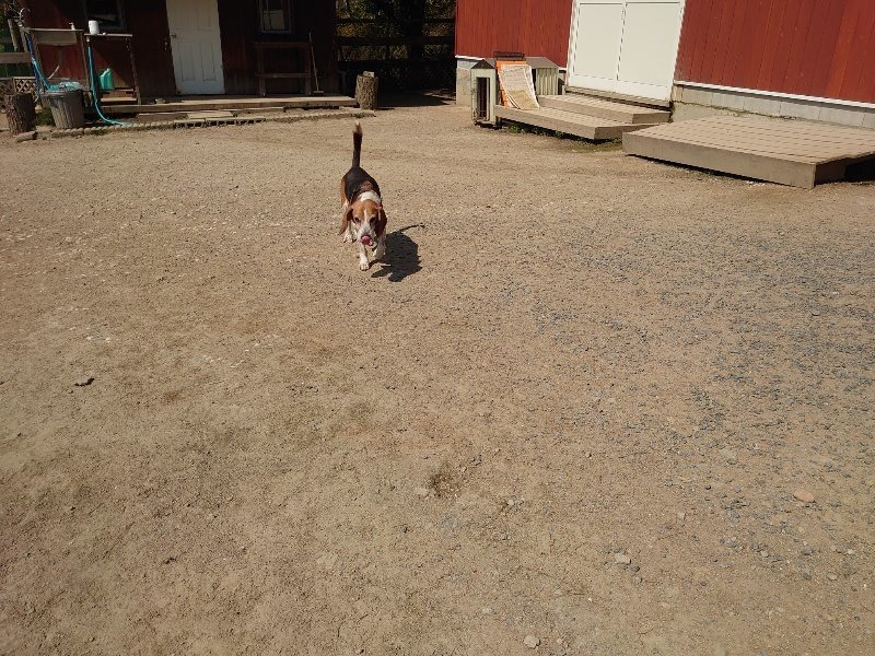 f:id:roukenhome-ann:20200501074609j:plain f:id:roukenhome-ann:20200501074609j:plain