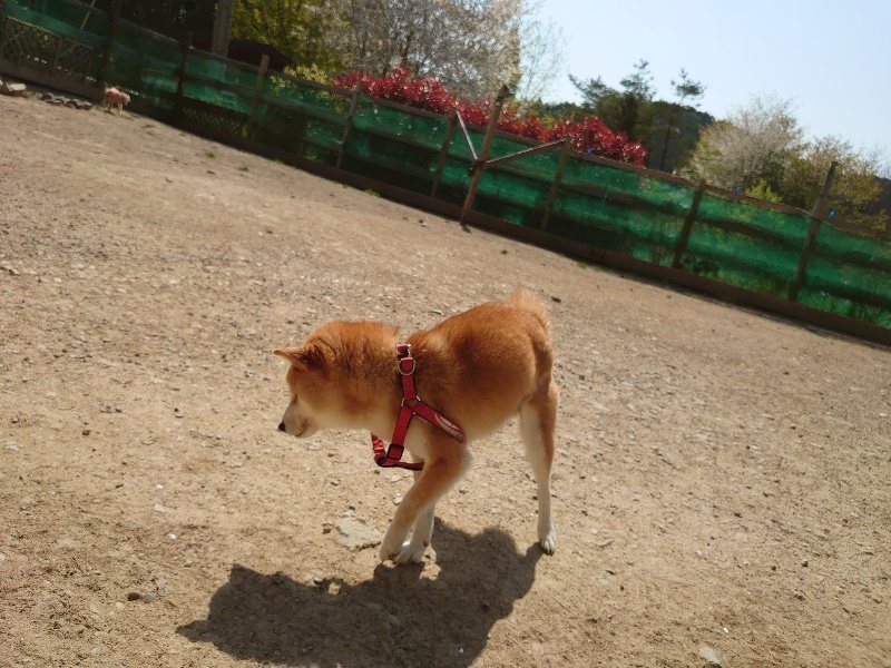 f:id:roukenhome-ann:20200501074714j:plain f:id:roukenhome-ann:20200501074714j:plain