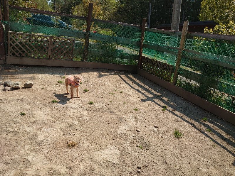 f:id:roukenhome-ann:20200501074730j:plain f:id:roukenhome-ann:20200501074730j:plain