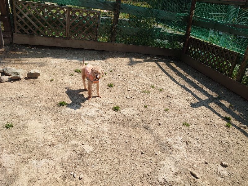 f:id:roukenhome-ann:20200501074741j:plain f:id:roukenhome-ann:20200501074741j:plain