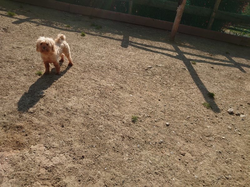 f:id:roukenhome-ann:20200501075344j:plain f:id:roukenhome-ann:20200501075344j:plain