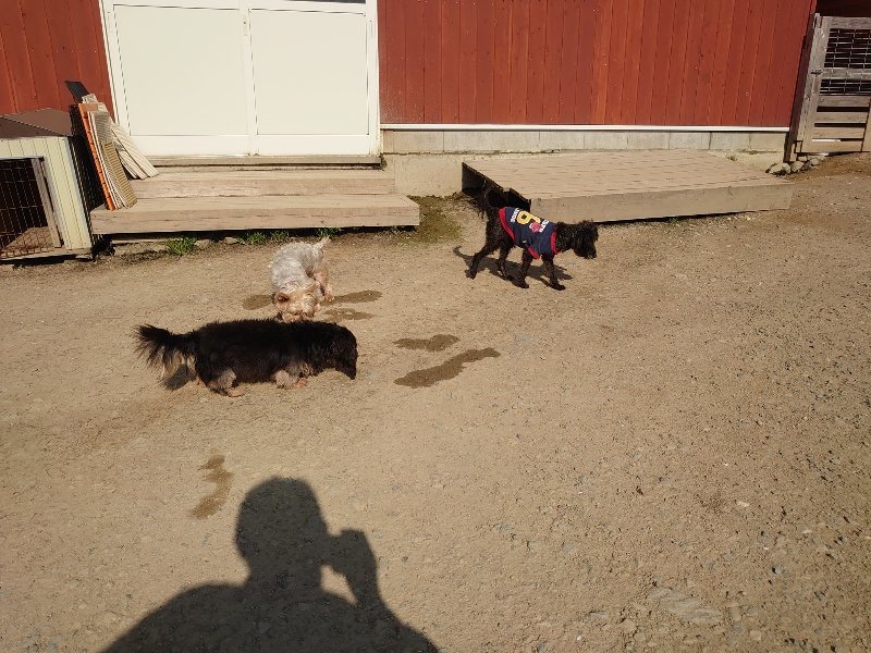 f:id:roukenhome-ann:20200501075859j:plain f:id:roukenhome-ann:20200501075859j:plain