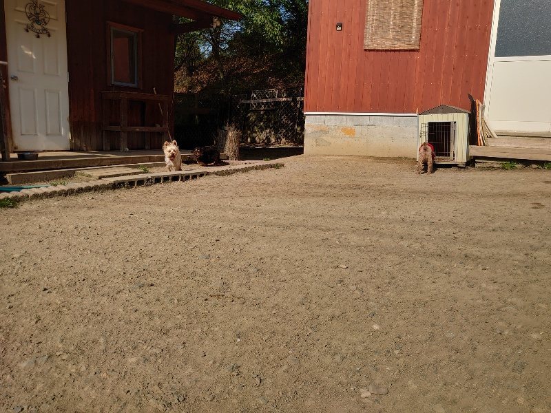 f:id:roukenhome-ann:20200501082217j:plain f:id:roukenhome-ann:20200501082217j:plain