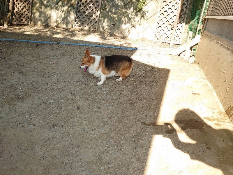f：id：roukenhome-ann：20200501082928j：plain