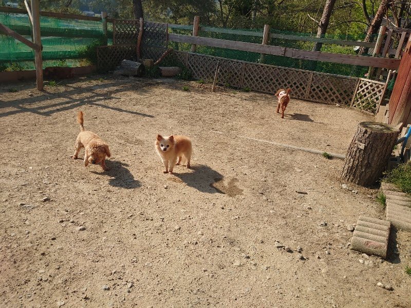 f：id：roukenhome-ann：20200501083023j：plain