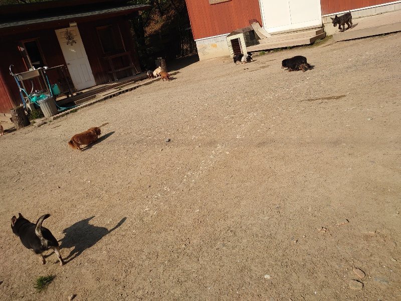 f：id：roukenhome-ann：20200501083328j：plain
