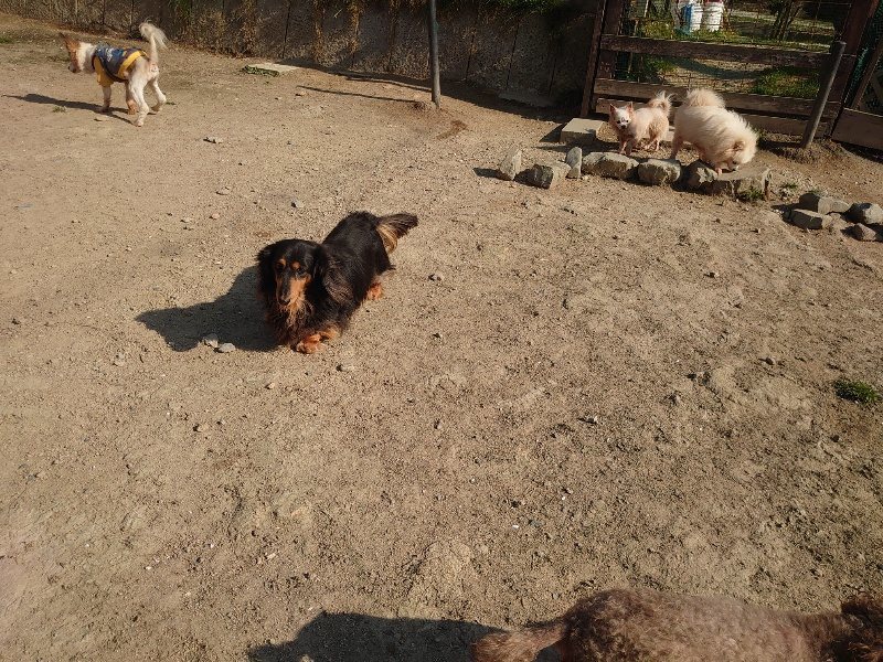 f：id：roukenhome-ann：20200501083345j：plain