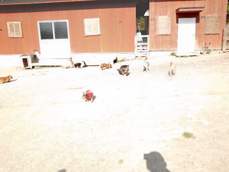 f：id：roukenhome-ann：20200501083642j：plain