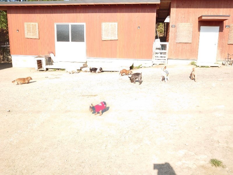 f：id：roukenhome-ann：20200501083647j：plain