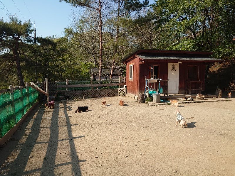 f：id：roukenhome-ann：20200501083657j：plain