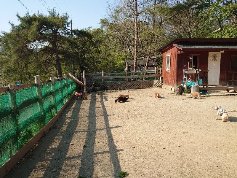 f：id：roukenhome-ann：20200501083703j：plain