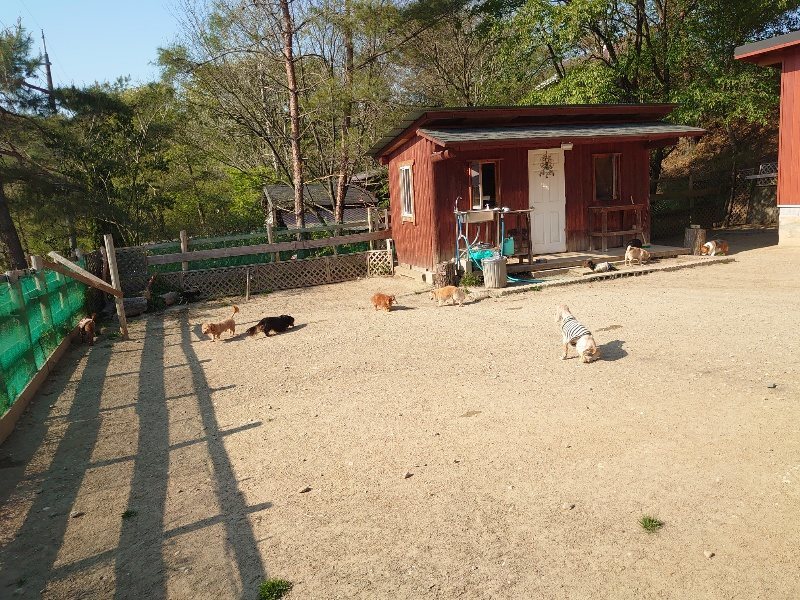 f：id：roukenhome-ann：20200501083710j：plain