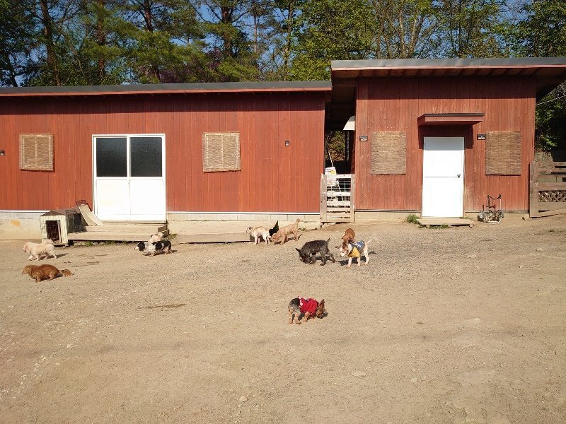 f：id：roukenhome-ann：20200501083724j：plain