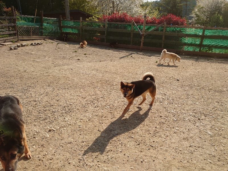 f：id：roukenhome-ann：20200501083740j：plain