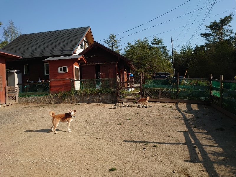 f：id：roukenhome-ann：20200501084332j：plain