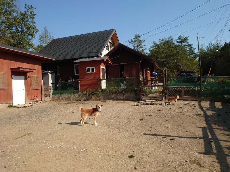 f：id：roukenhome-ann：20200501084336j：plain